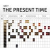 The Present Time