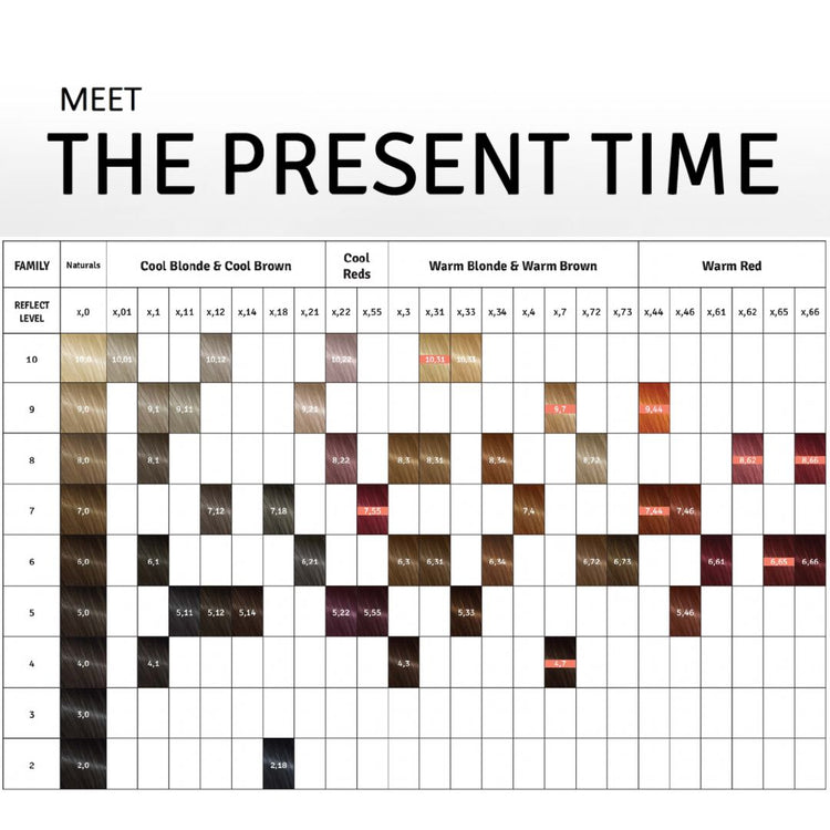 The Present Time The Present Time