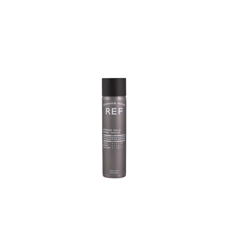 Strong Hold Spray 533 Strong Hold Spray 533