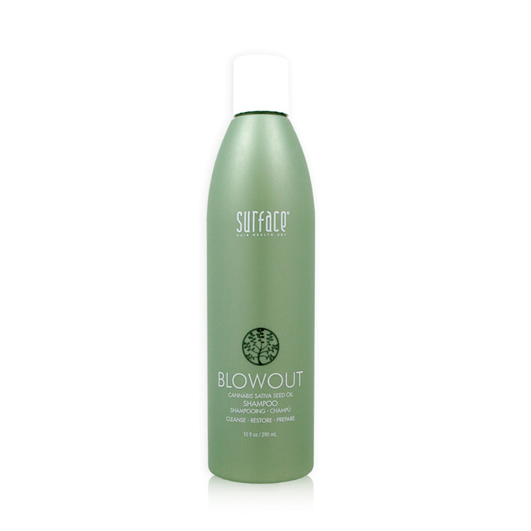 Blowout Shampoo Blowout Shampoo