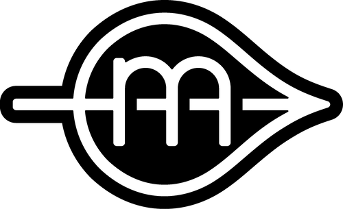 Modern Salon Services