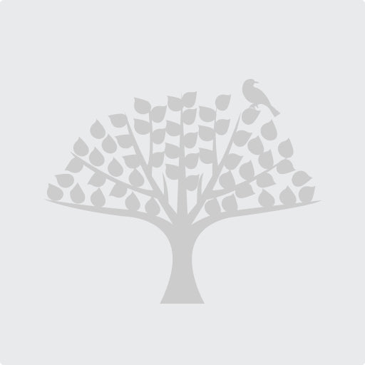 Modern Salon Services
